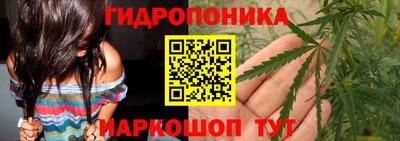 ECSTASY Пушкино
