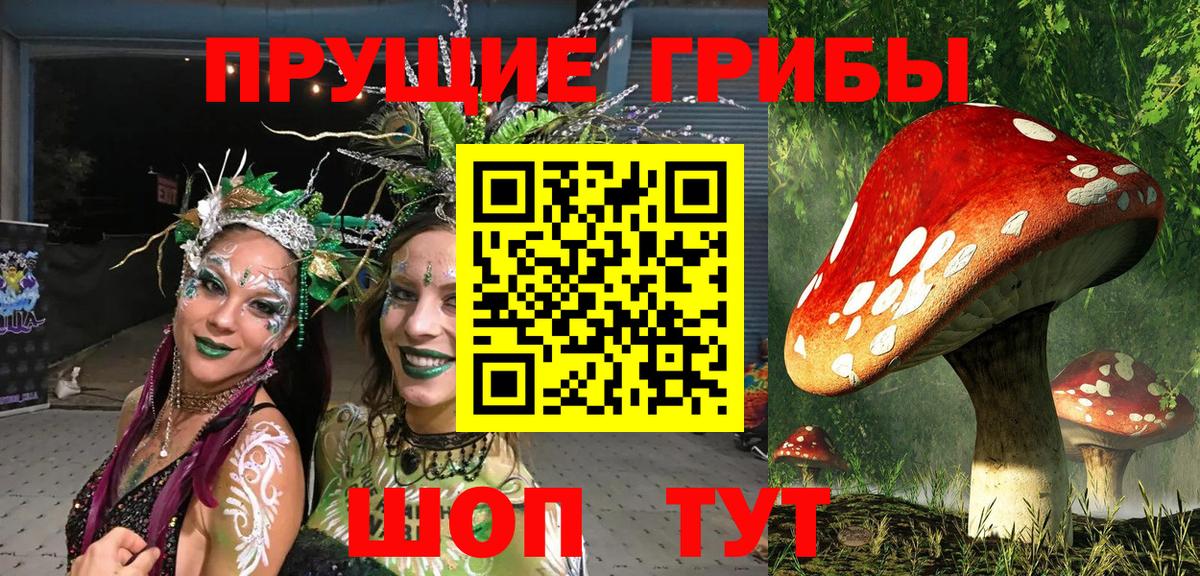 Галлюциногенные грибы мицелий  Галлюциногенные грибы мицелий  Вход с VPN  Саров 