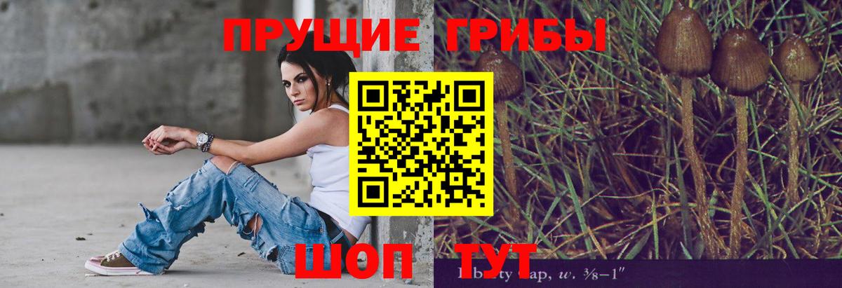 Галлюциногенные грибы Cubensis Саров